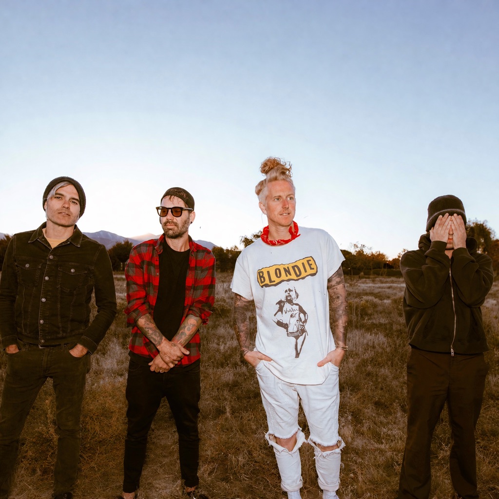 We the Kings Portrait