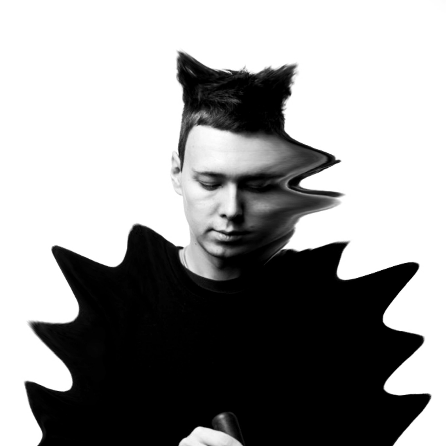 SymphoCat Portrait