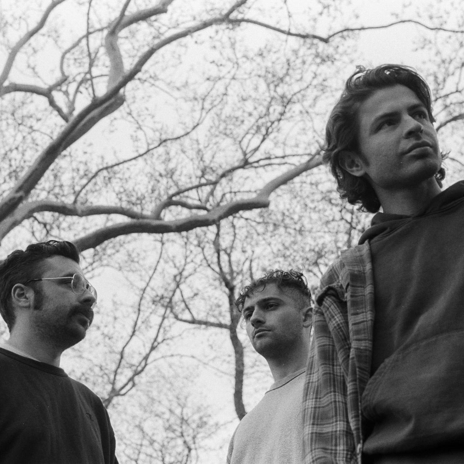 Horse Jumper of Love Portrait