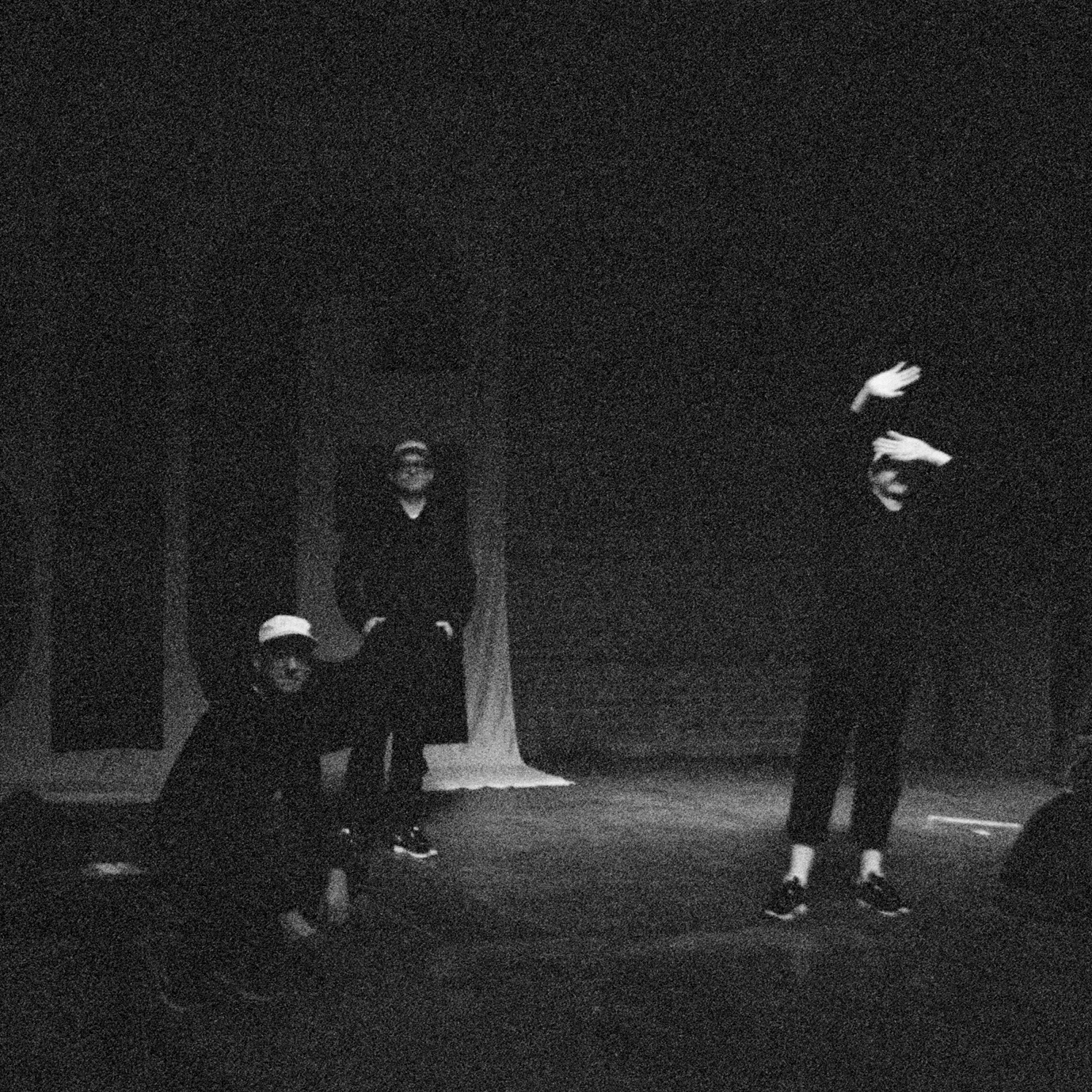 Pet Symmetry Portrait