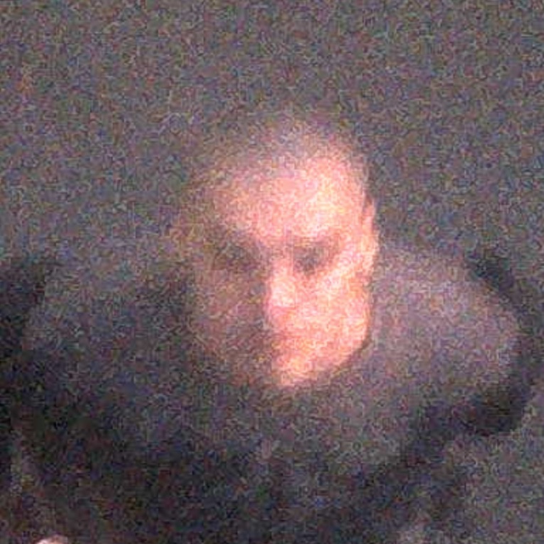 Sega Bodega portrait