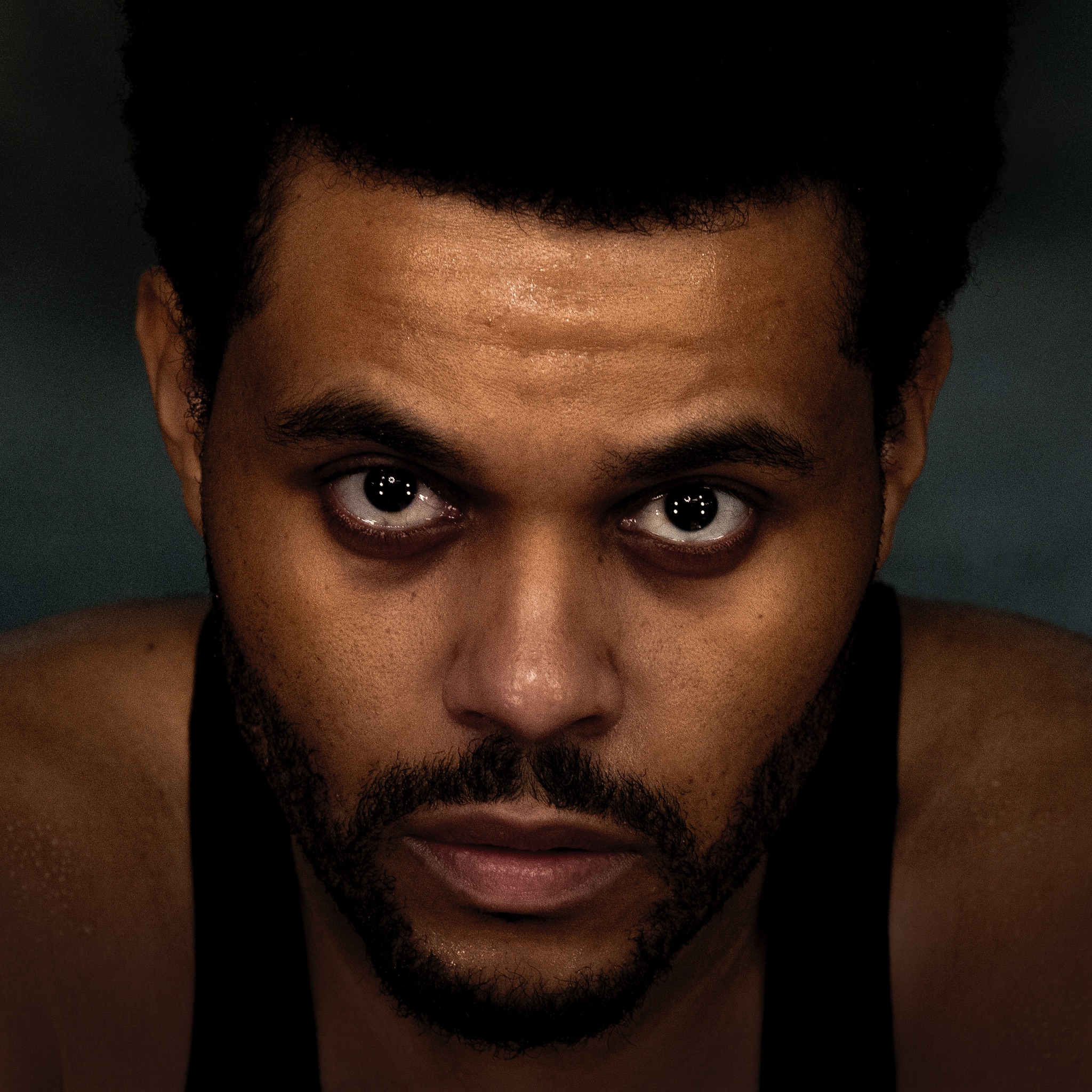 The Weeknd Portrait