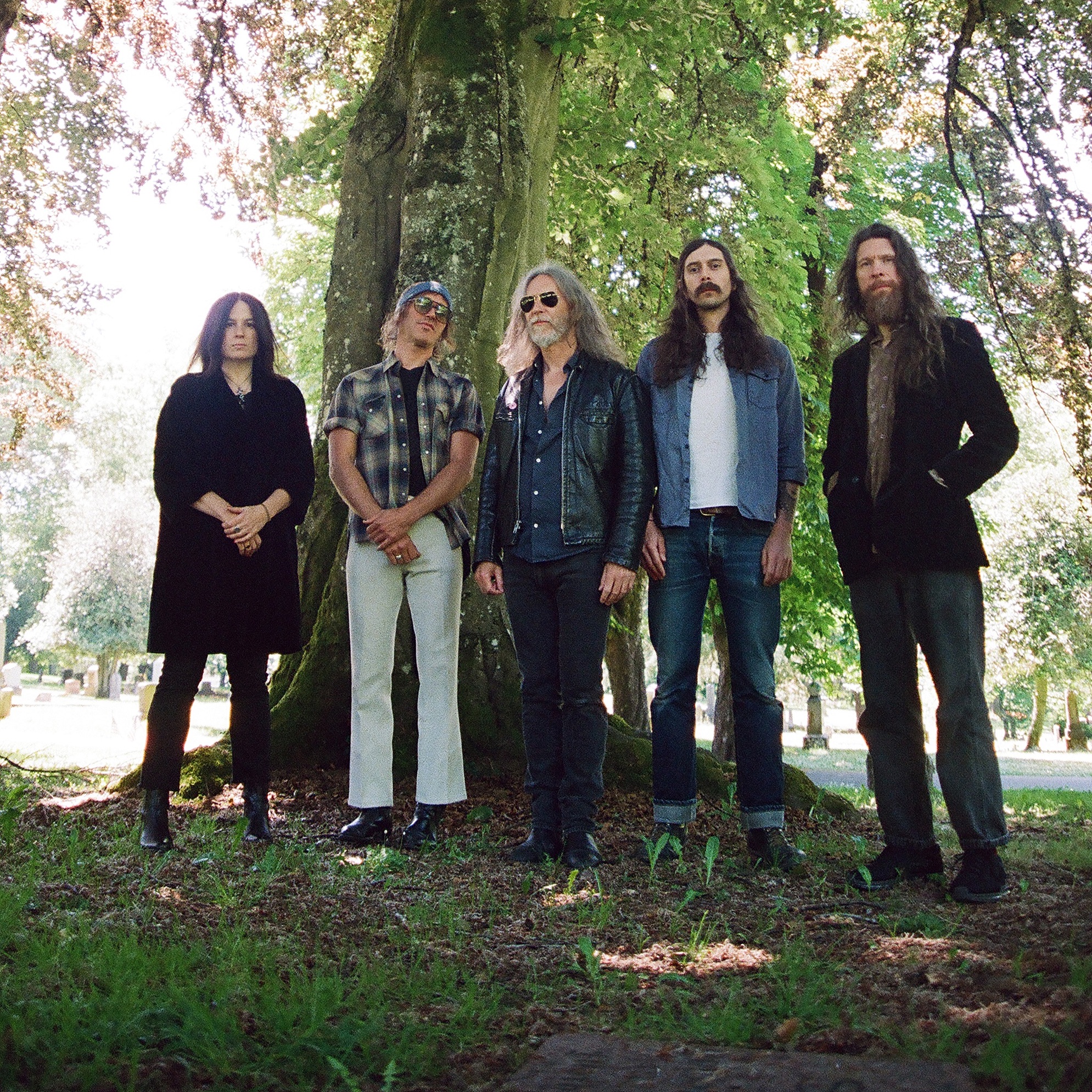 Black Mountain Portrait