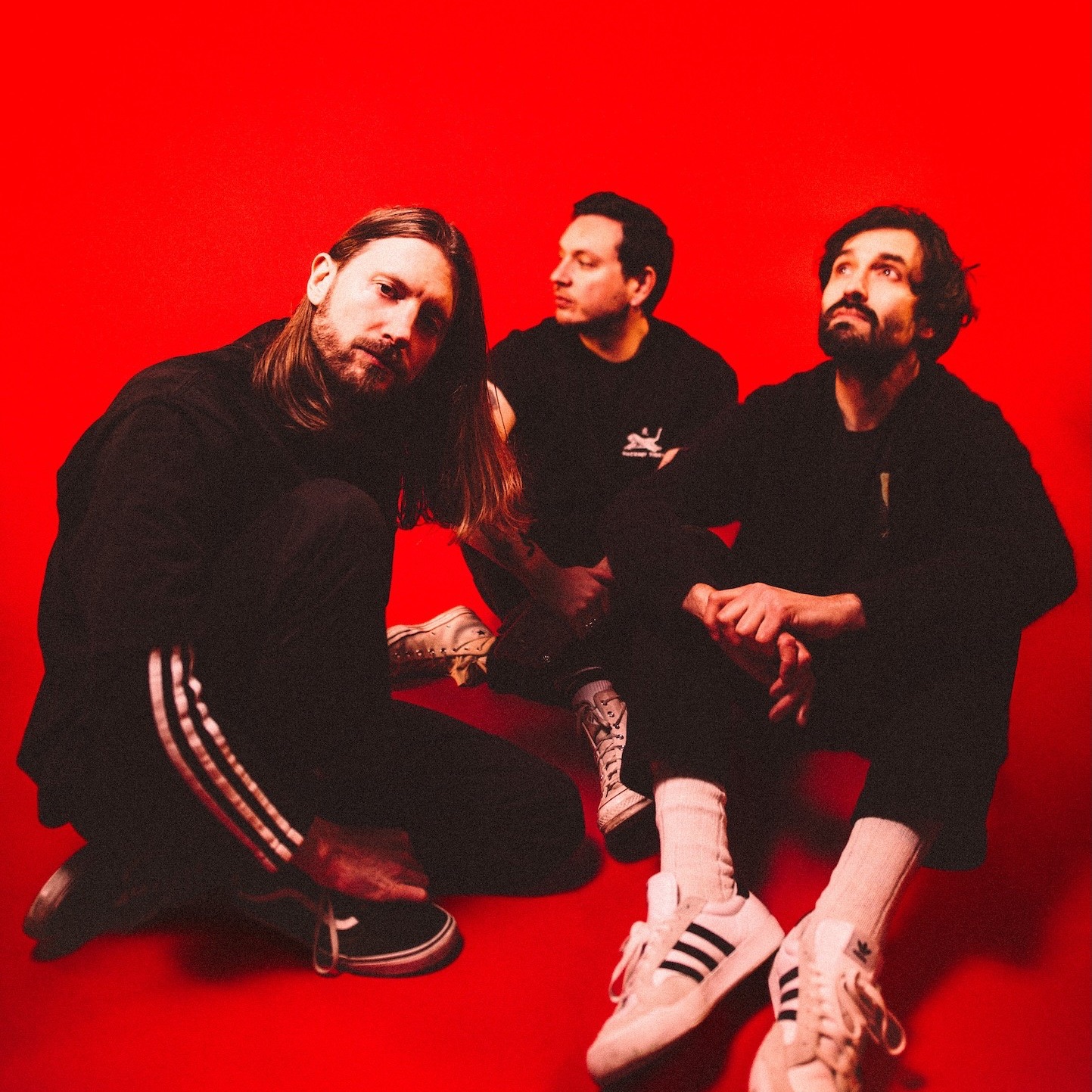 Dinosaur Pile-Up Portrait