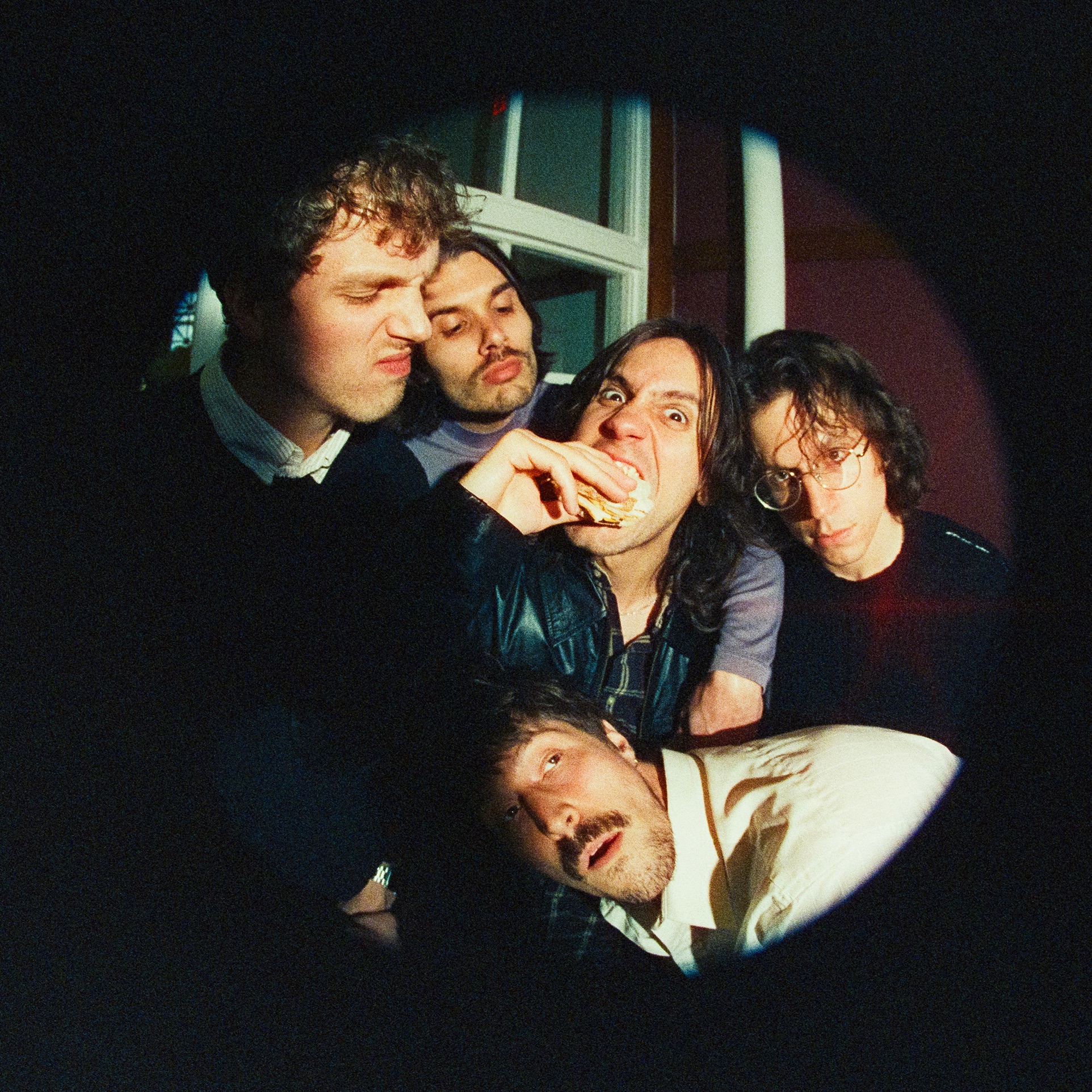 Post Animal portrait