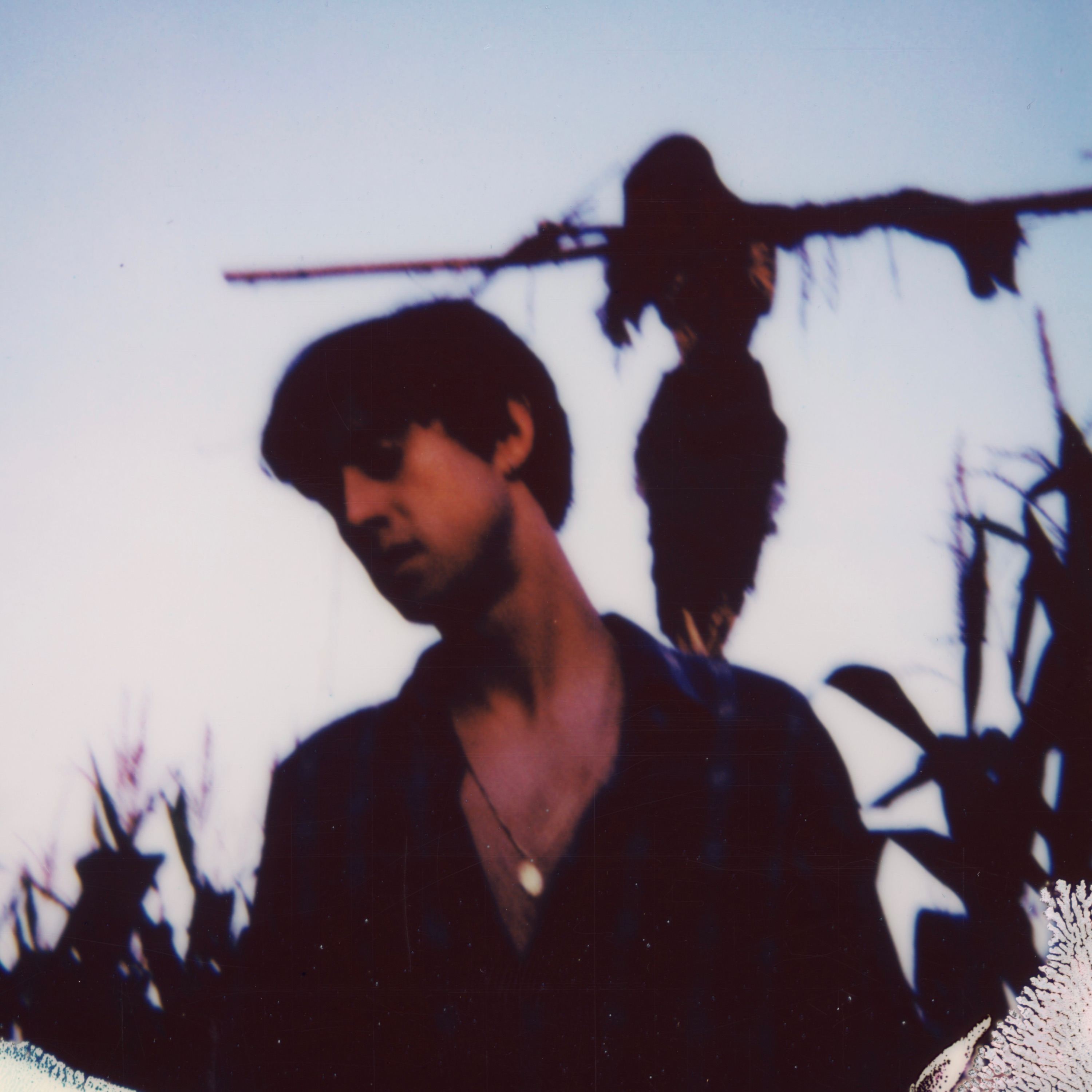 Ghost Mountain portrait