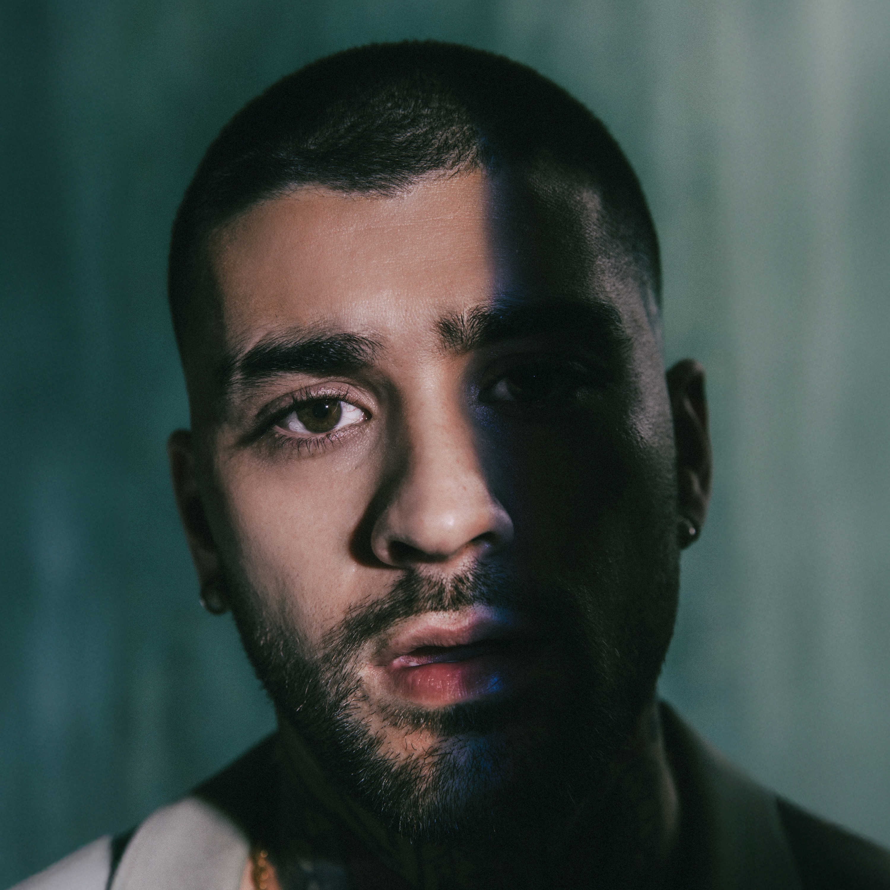 ZAYN Portrait