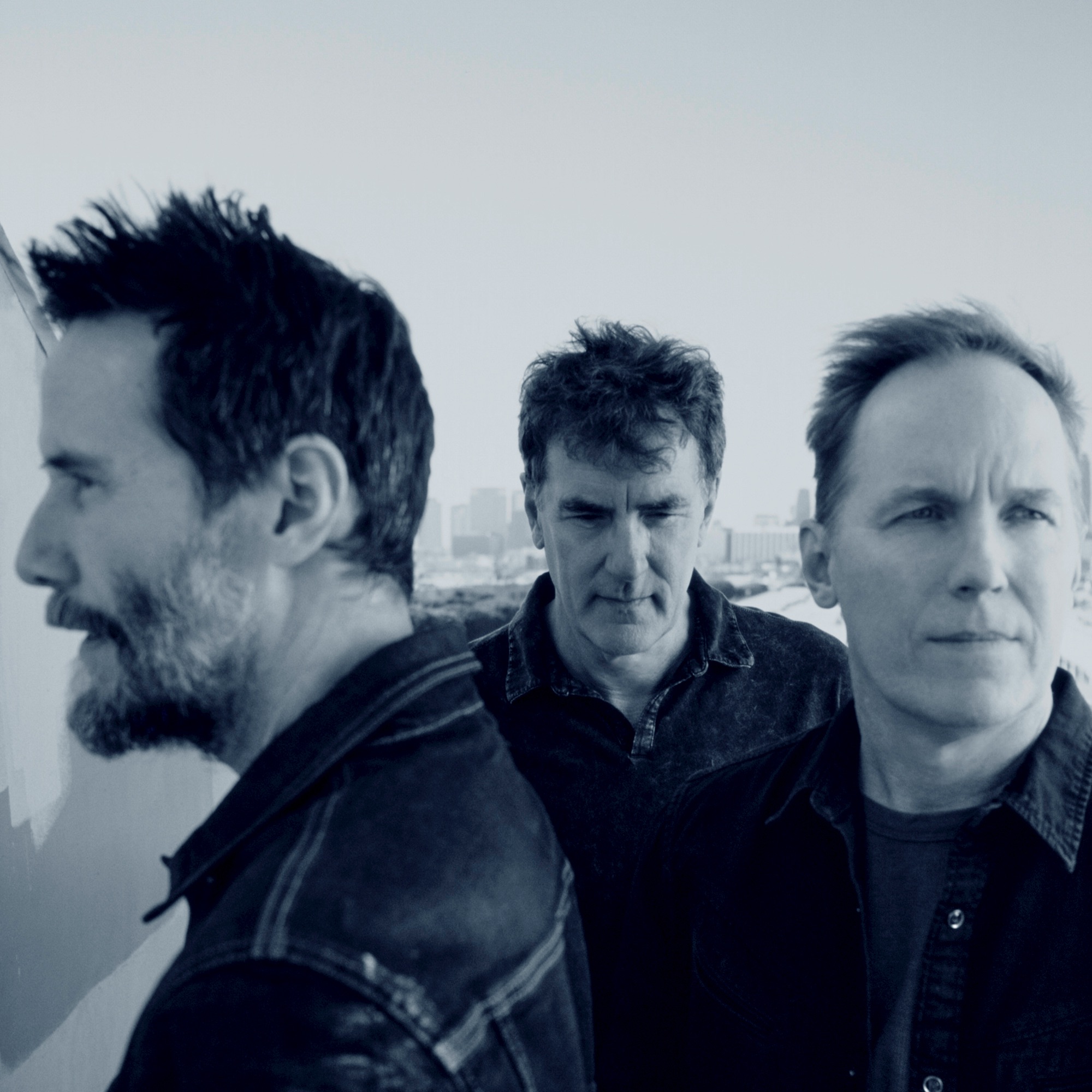 Dogstar Portrait