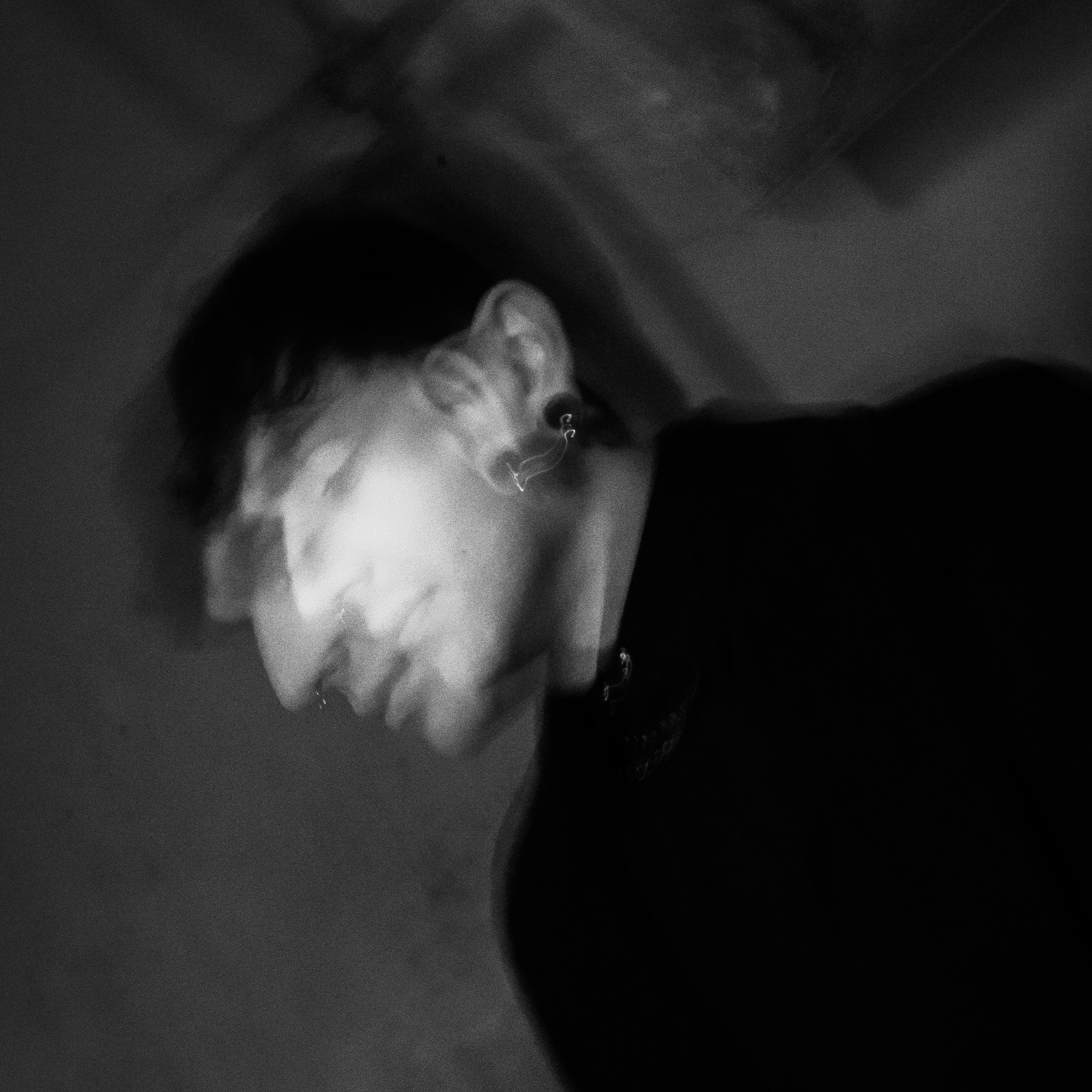 The Spoiled Portrait