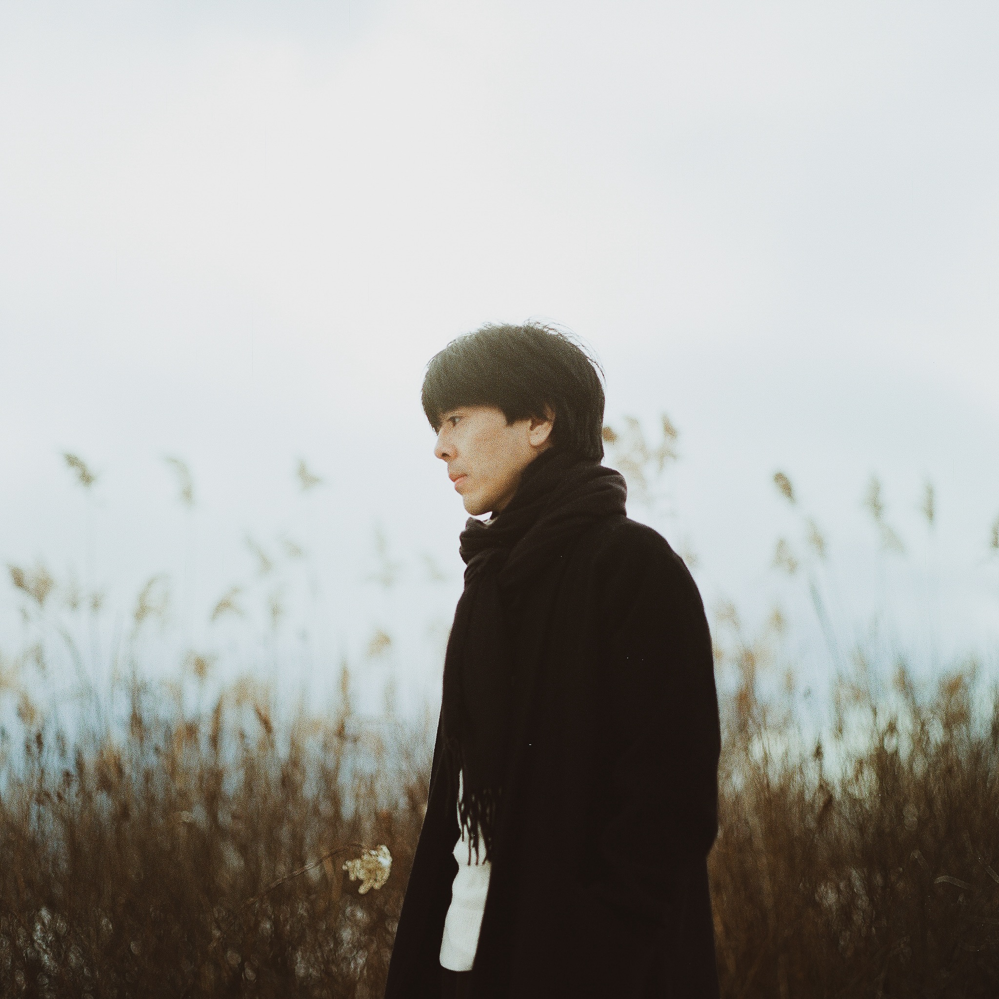 Hideyuki Hashimoto portrait