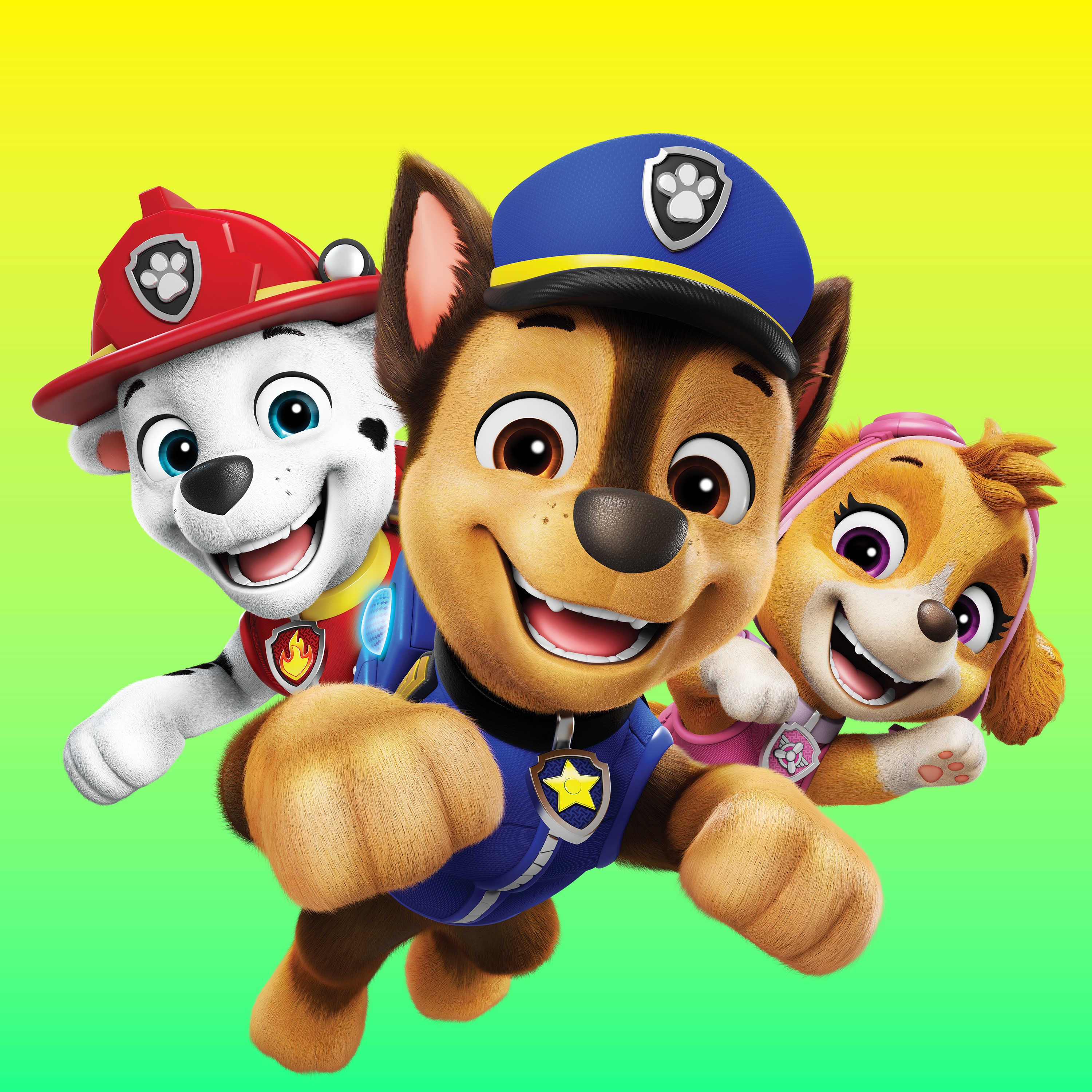 PAW Patrol portrait