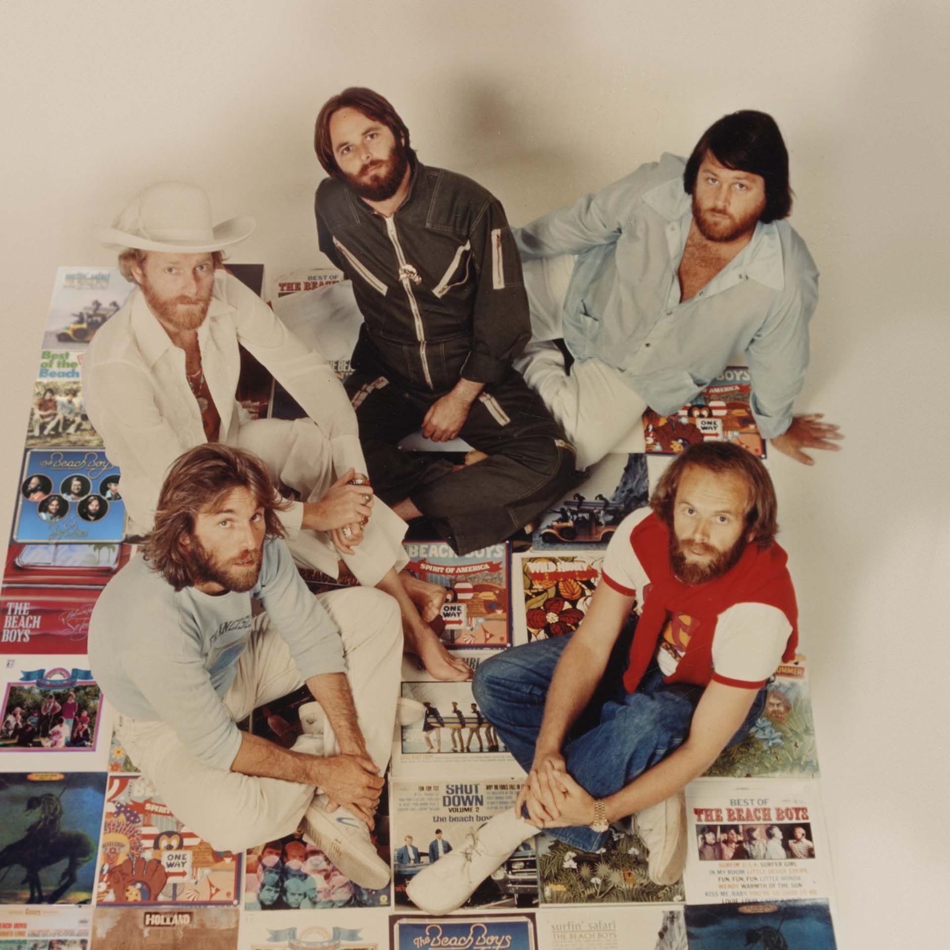 The Beach Boys Portrait