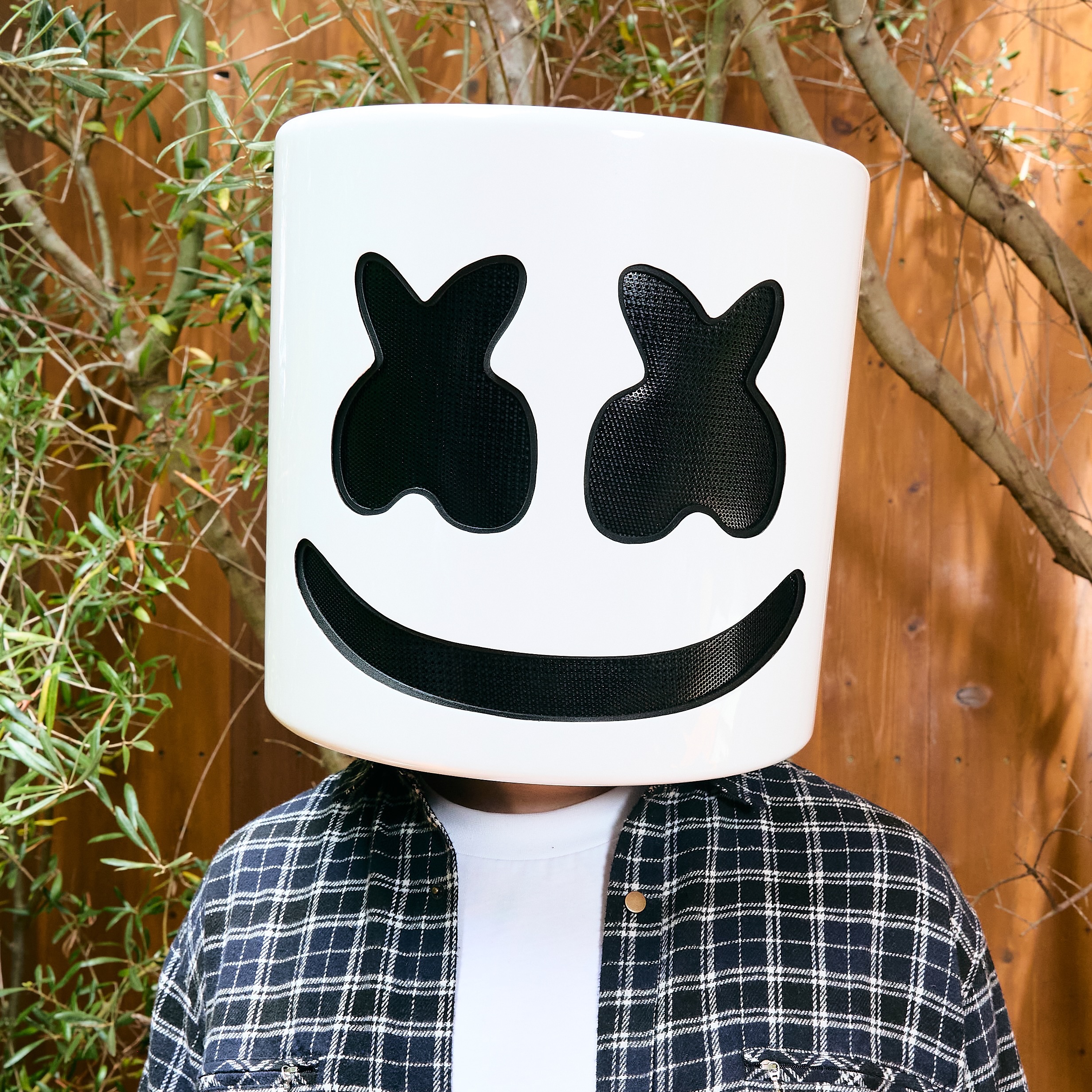 Marshmello Portrait
