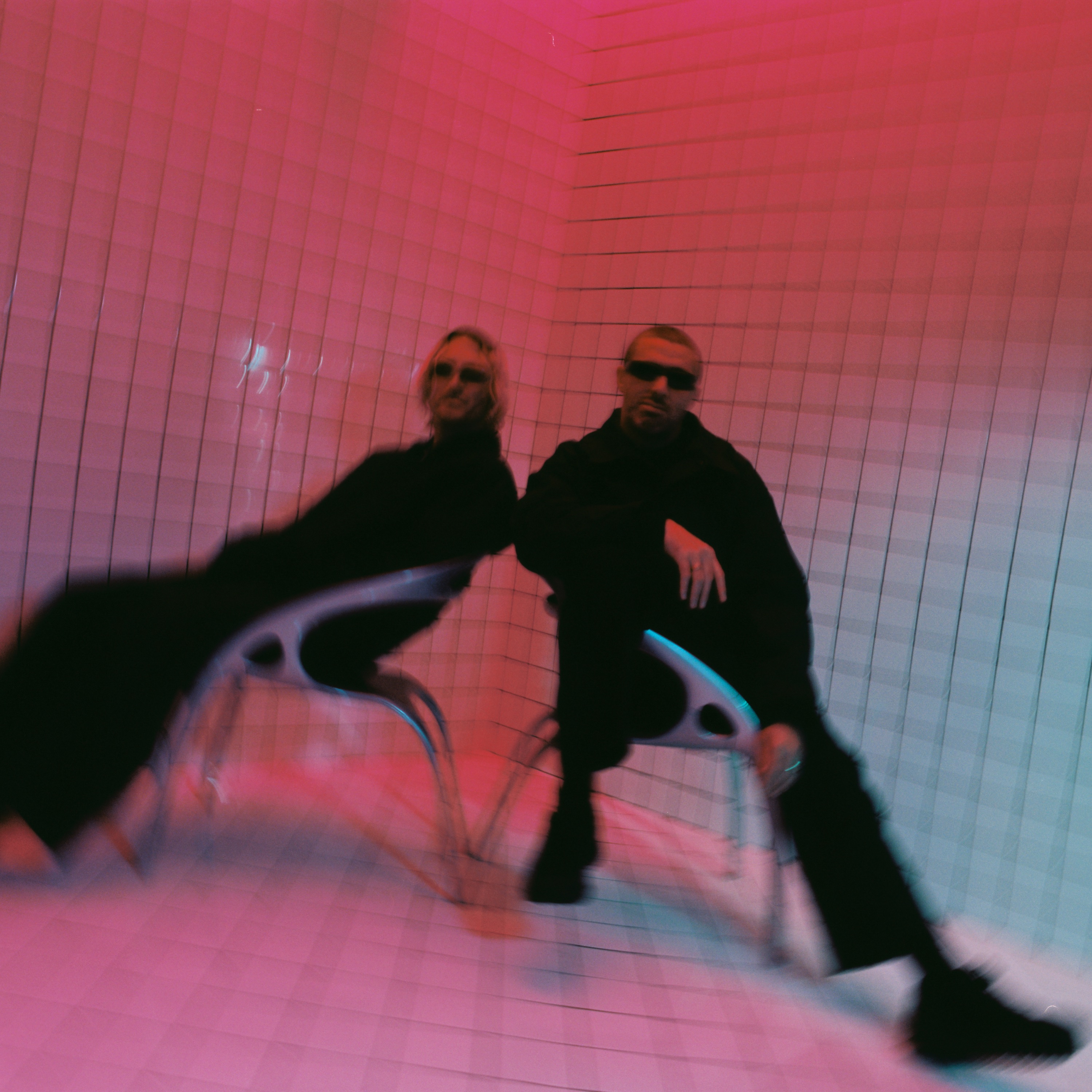 NEIL FRANCES Portrait