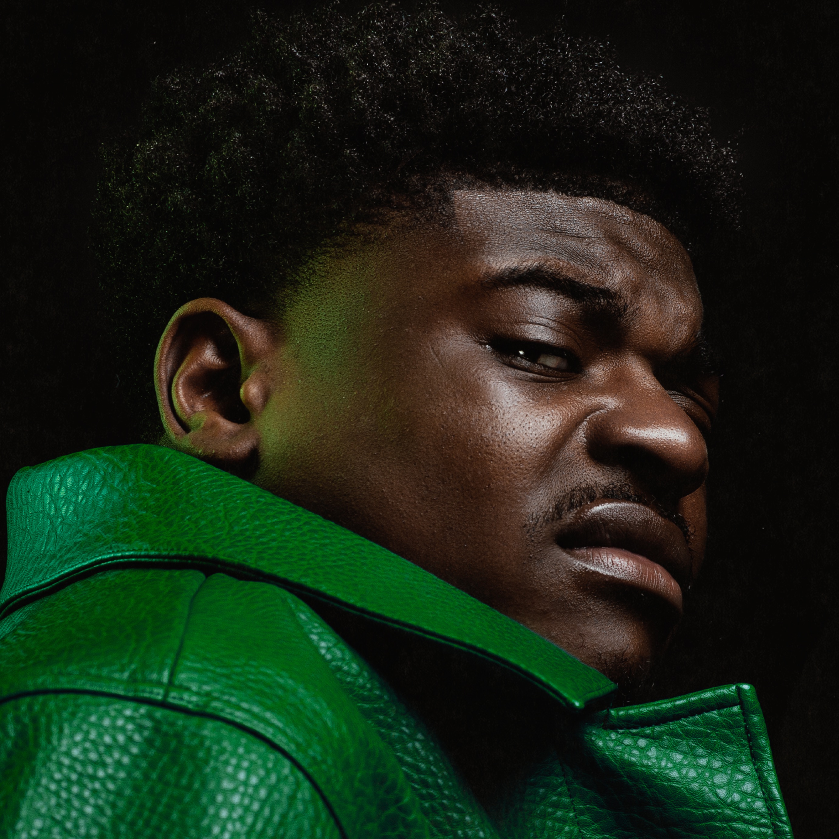 Hulk Van JMF Portrait