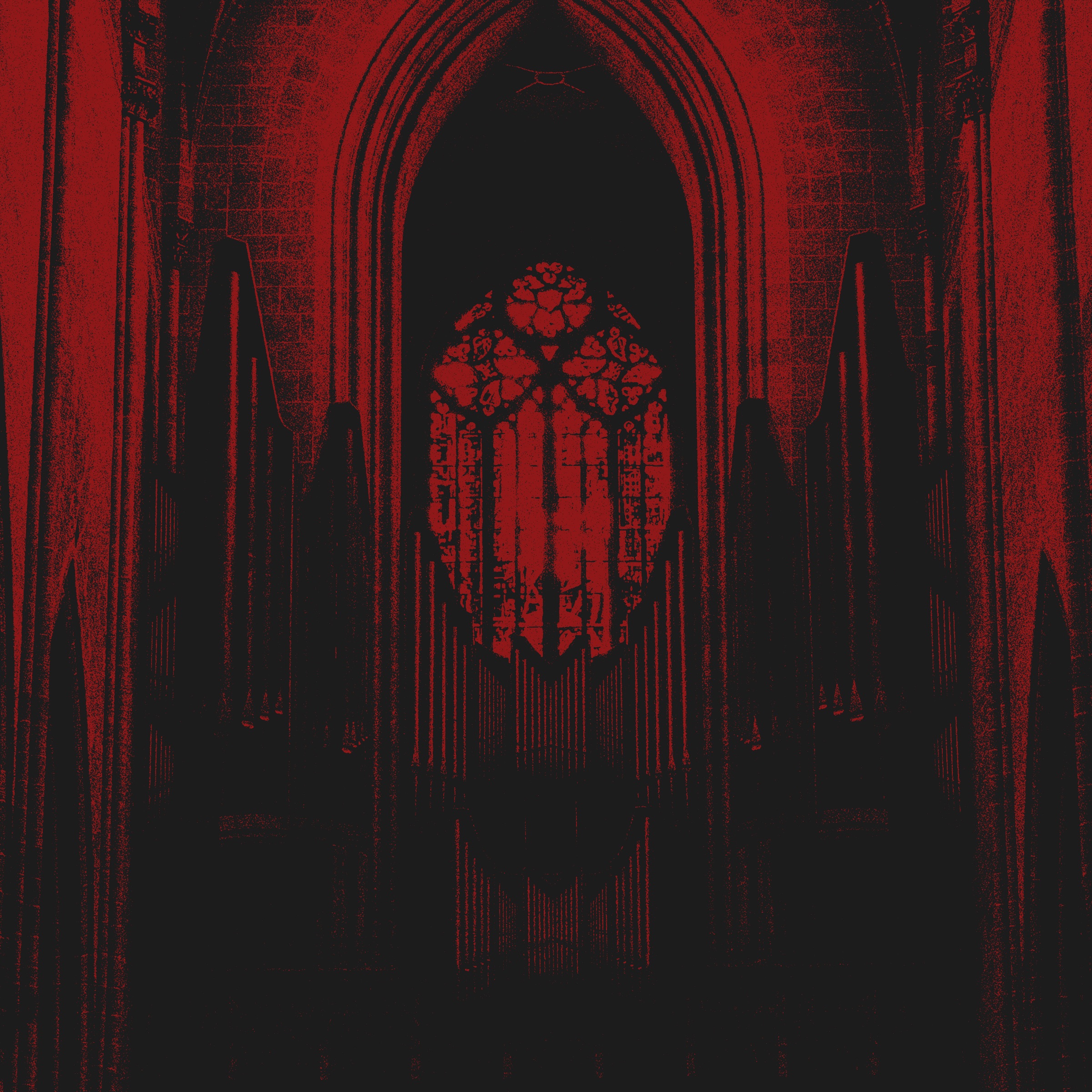 Skycamefalling portrait