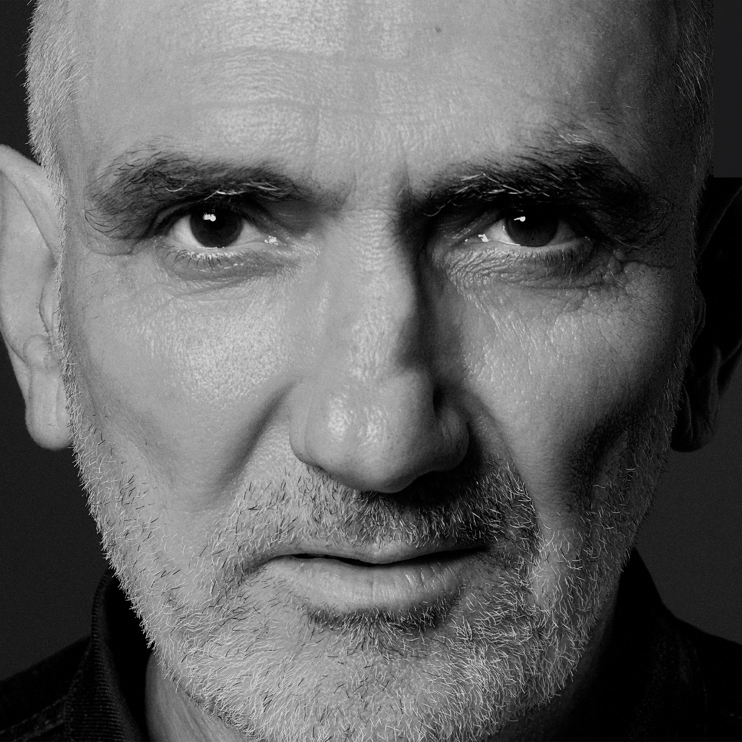 Paul Kelly Portrait