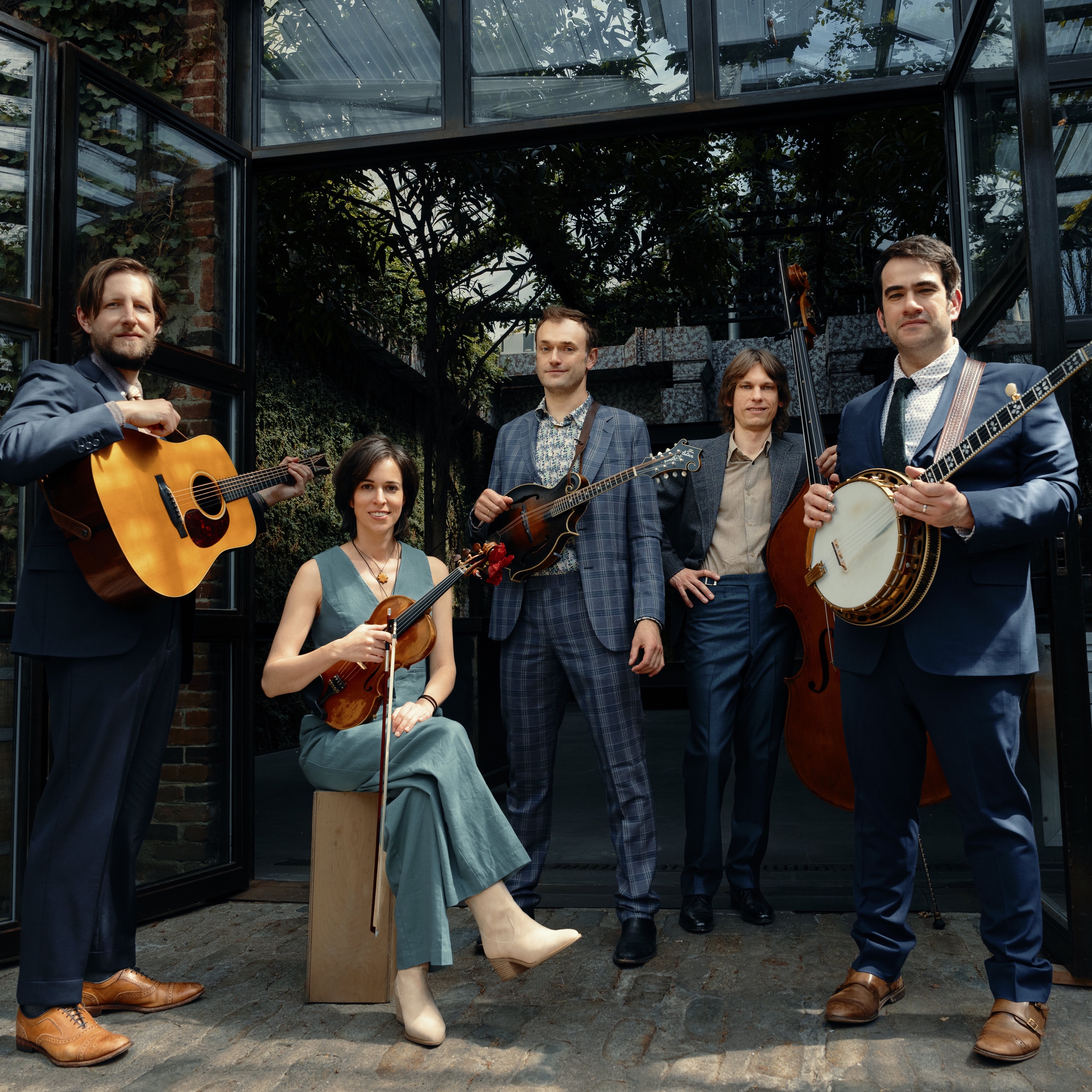 Punch Brothers Portrait