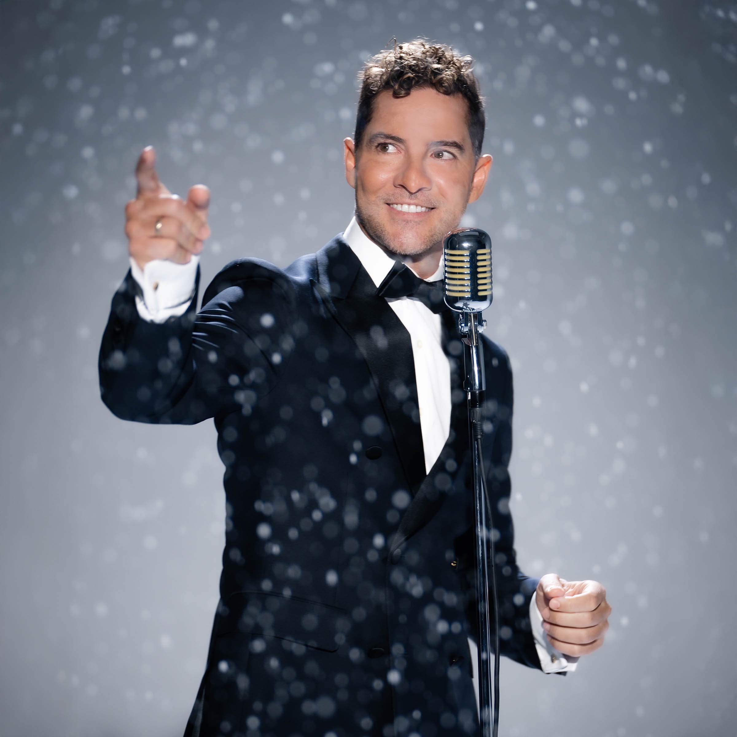 David Bisbal portrait