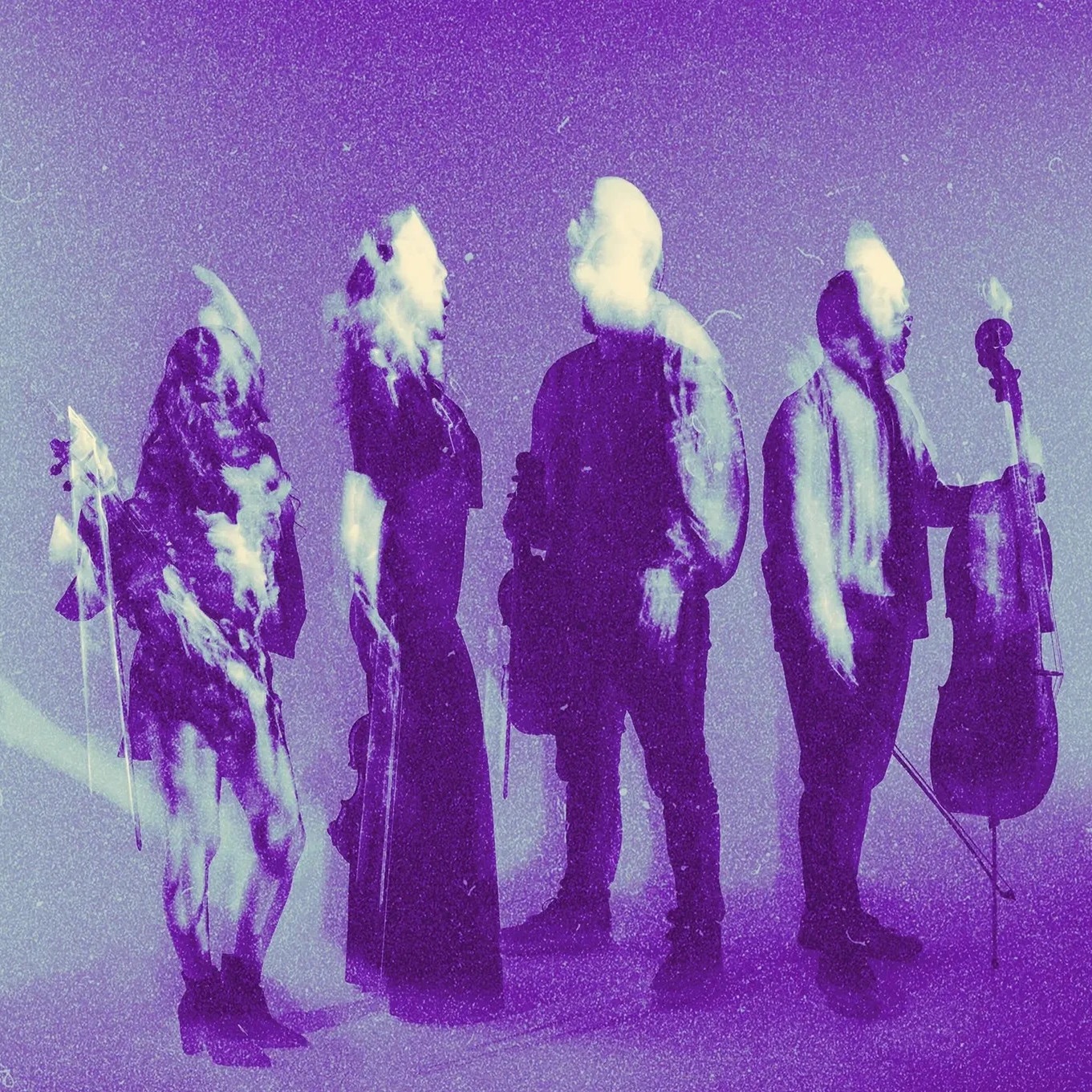 Vitamin String Quartet Portrait