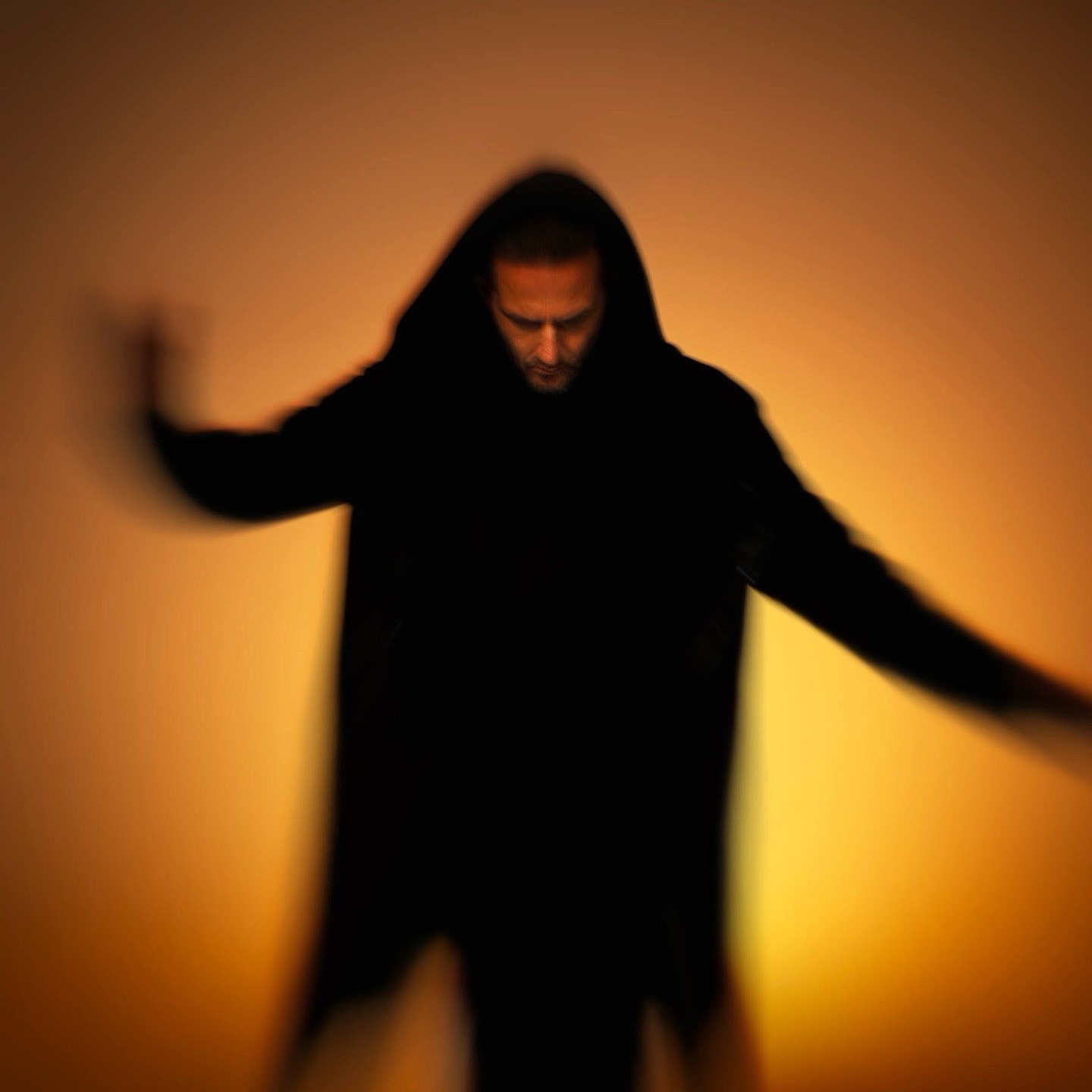 Lunatic Soul Portrait