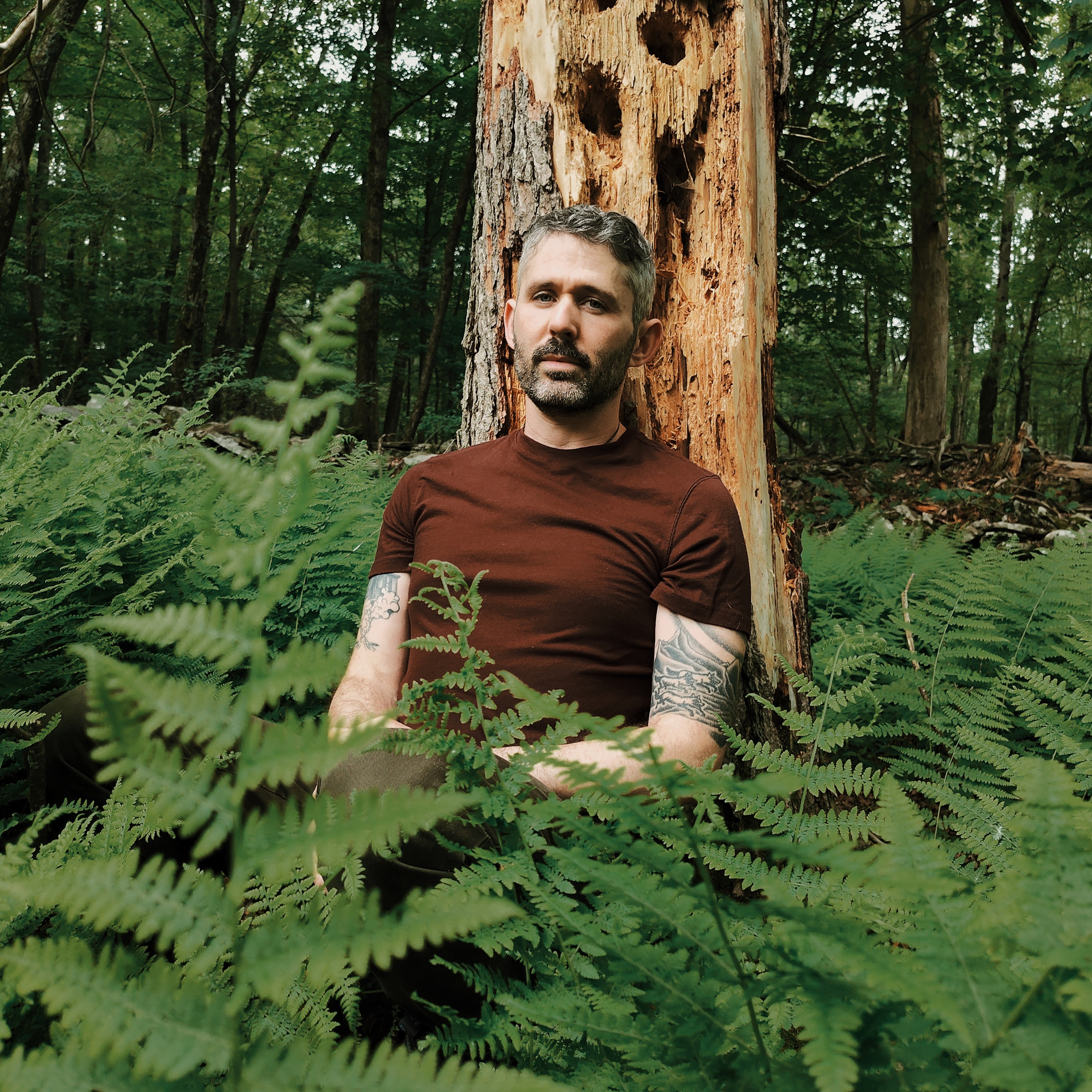 The Antlers Portrait