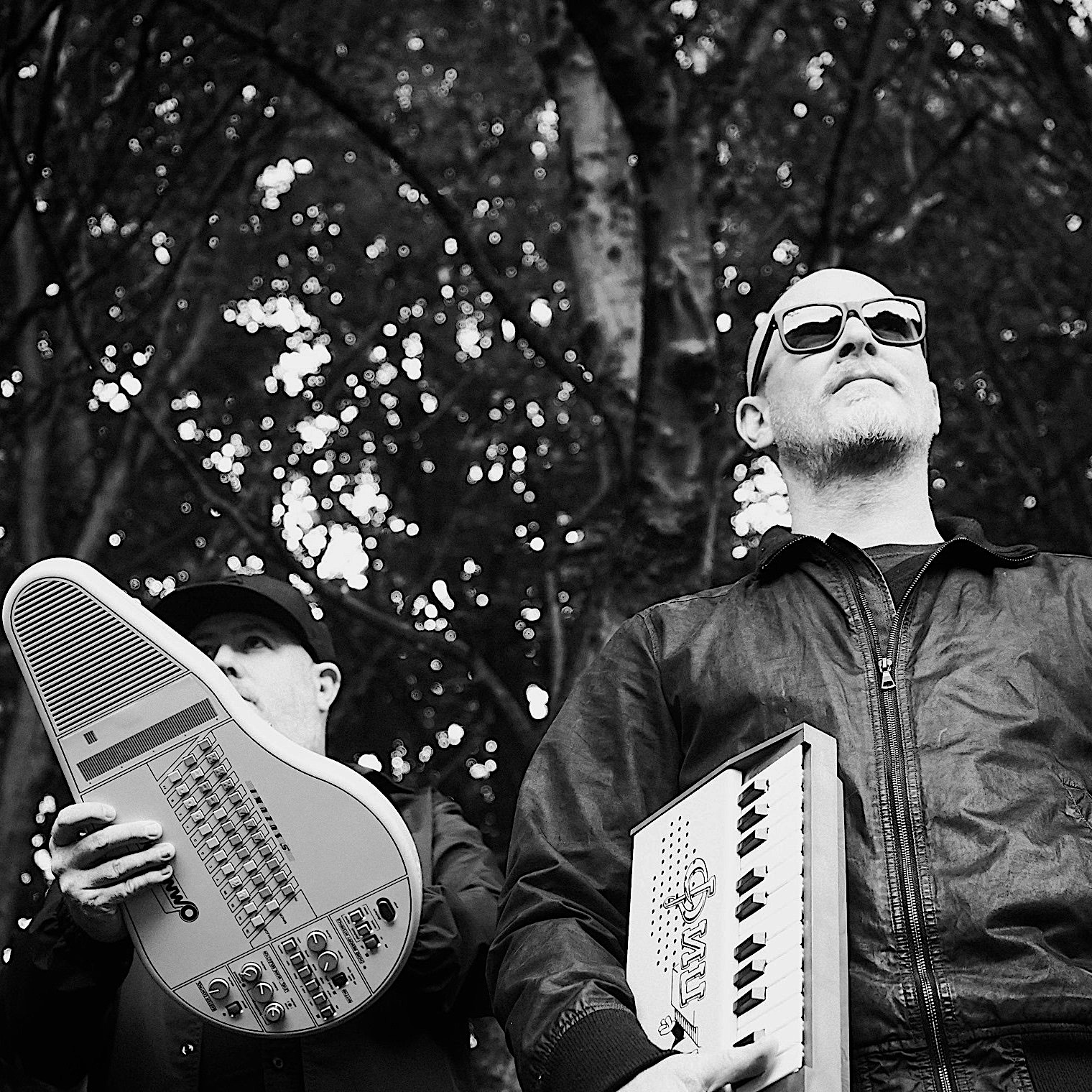 Random Forest Portrait