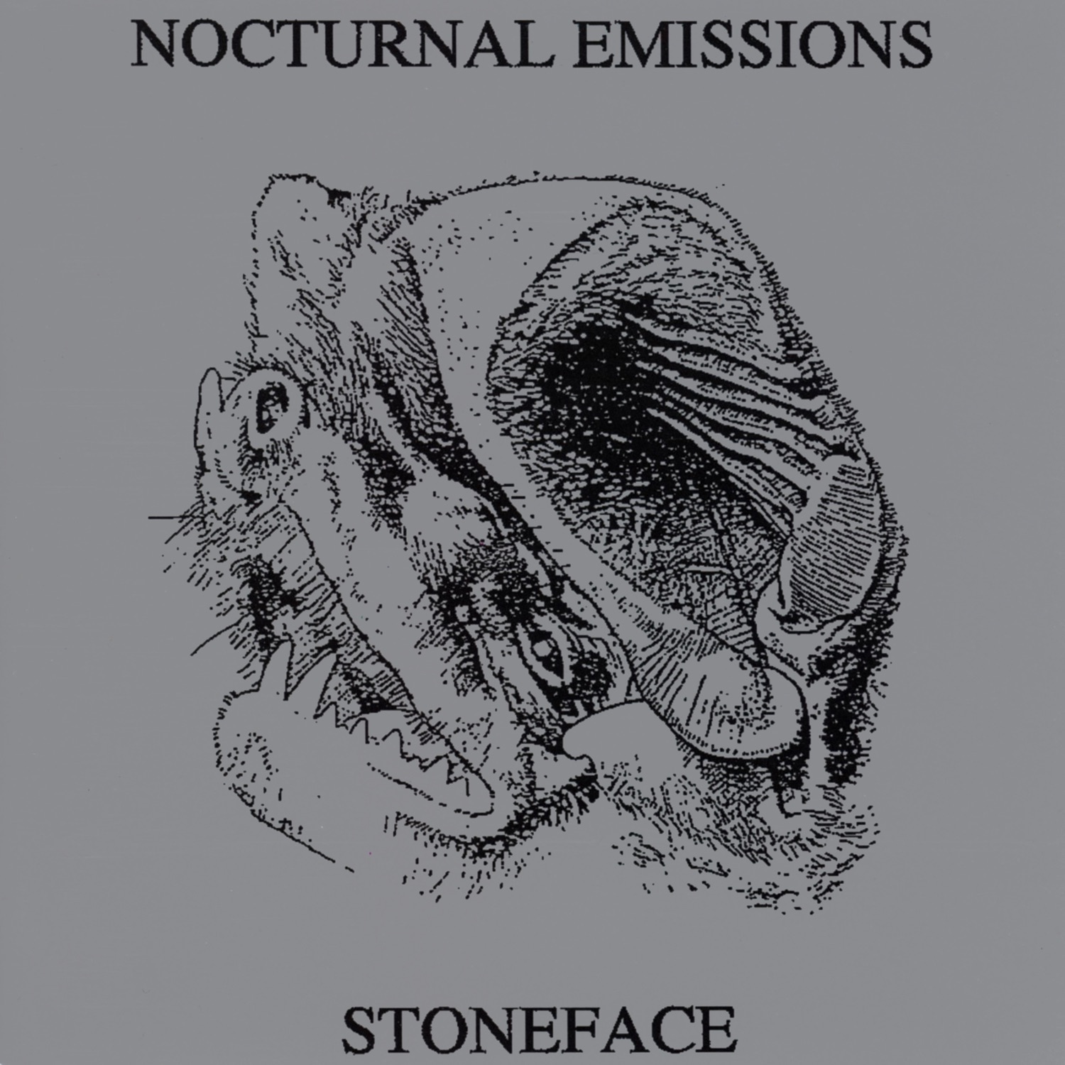 Stoneface album cover