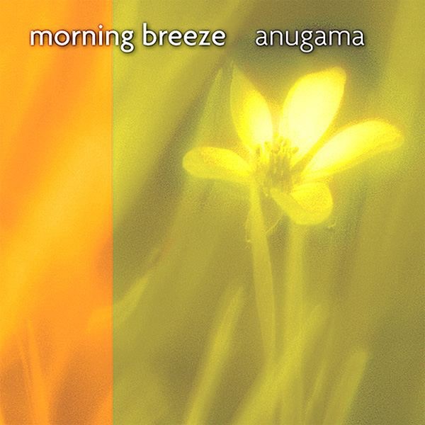 Morning Breeze album cover