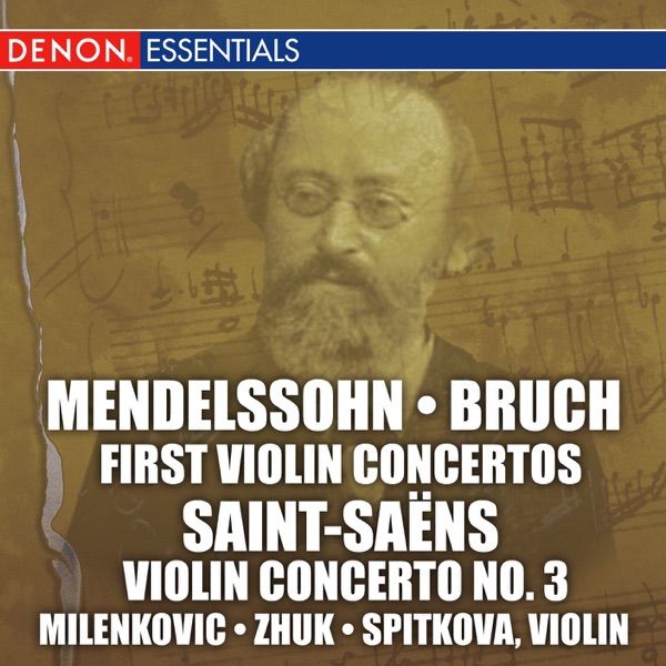 Violin Concertos album cover