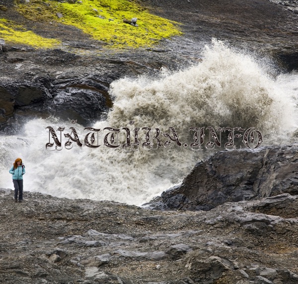 Nattura (feat. Thom Yorke) - Single album cover