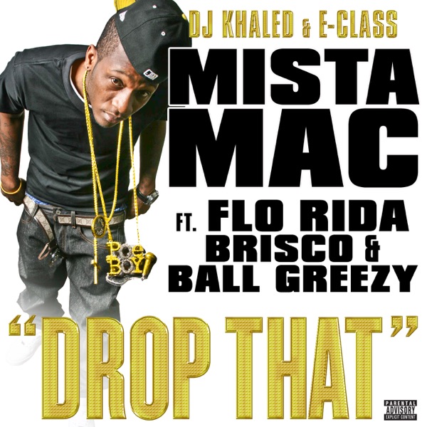 Drop That (feat. Flo Rida, Brisco & Ball Greezy) - Single album cover