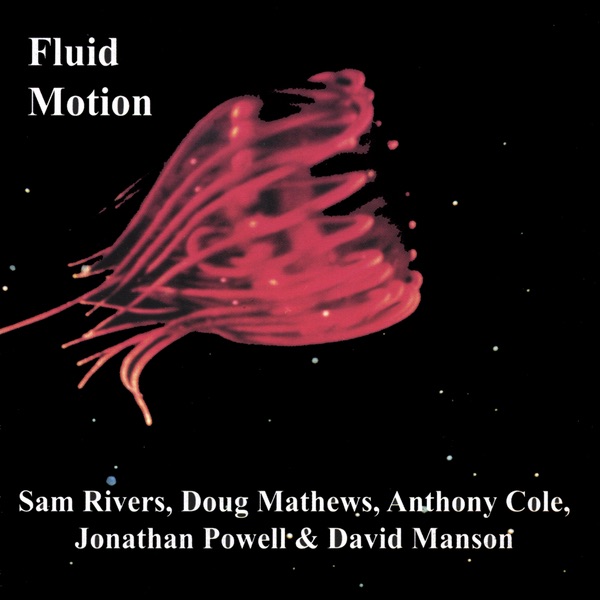 Fluid Motion album cover