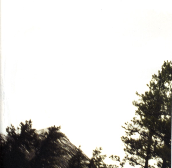 I Name You Destroyer album cover