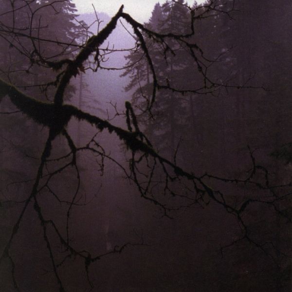 The Poisoner album cover