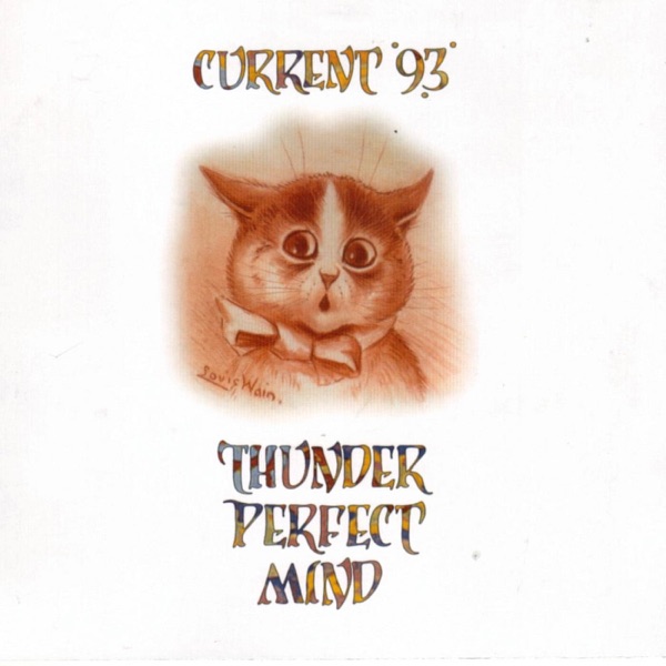 Thunder Perfect Mind album cover