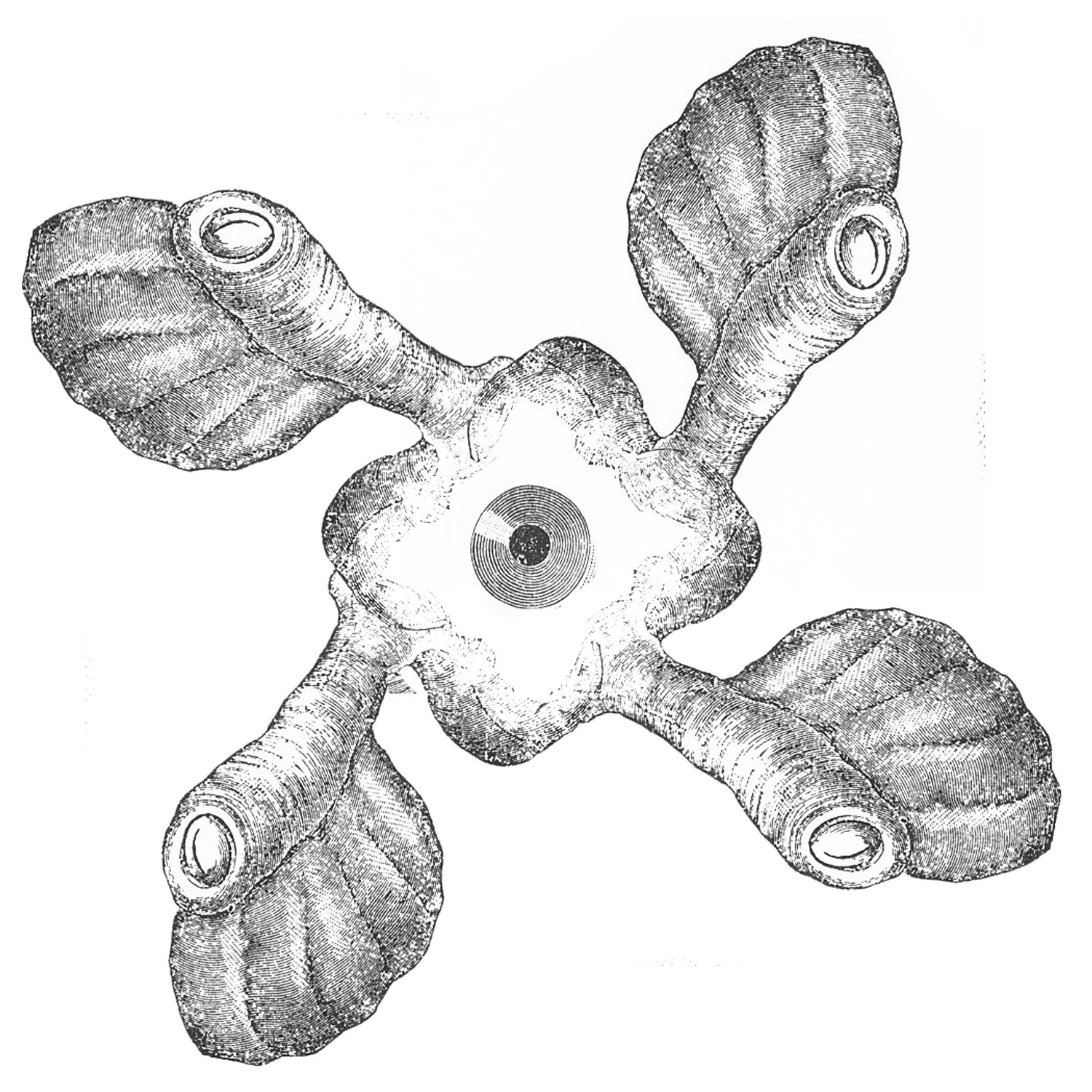 Friction and Dirt album cover