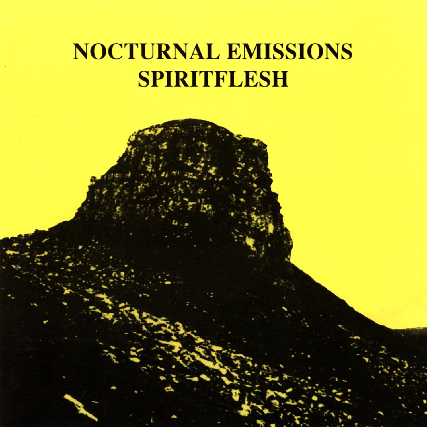 Spiritflesh album cover