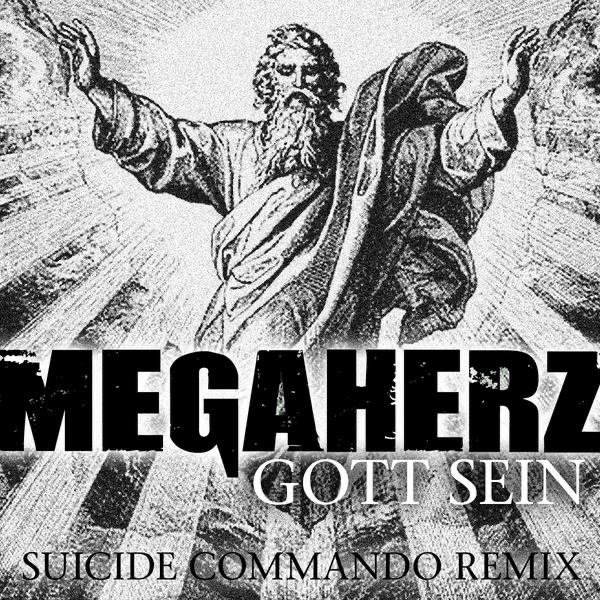 Gott sein (Suicide Commando Remix) - Single album cover