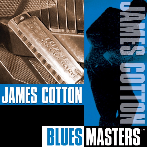 Blues Masters album cover