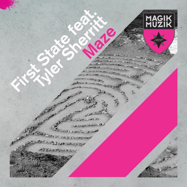 Maze (feat. Tyler Sherrit) - Single album cover