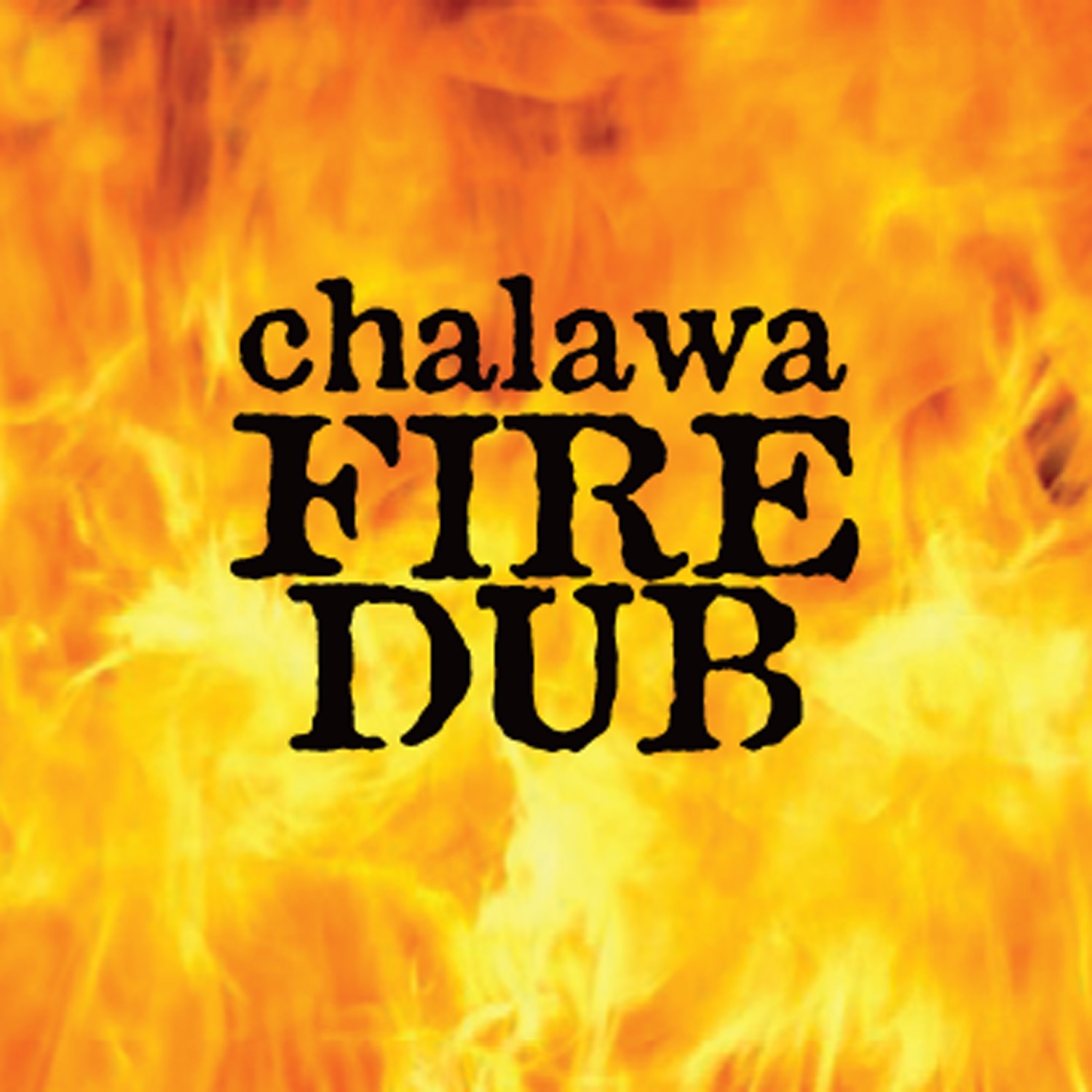 Fire Dub album cover