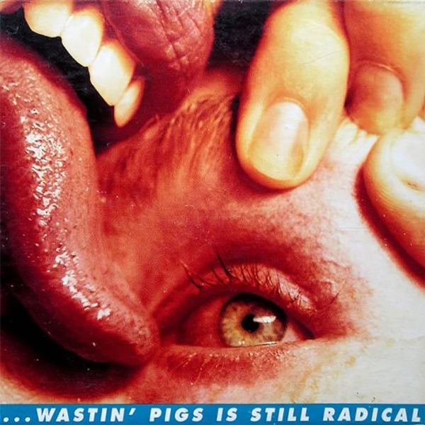 Wastin' Pigs is Still Radical - EP album cover