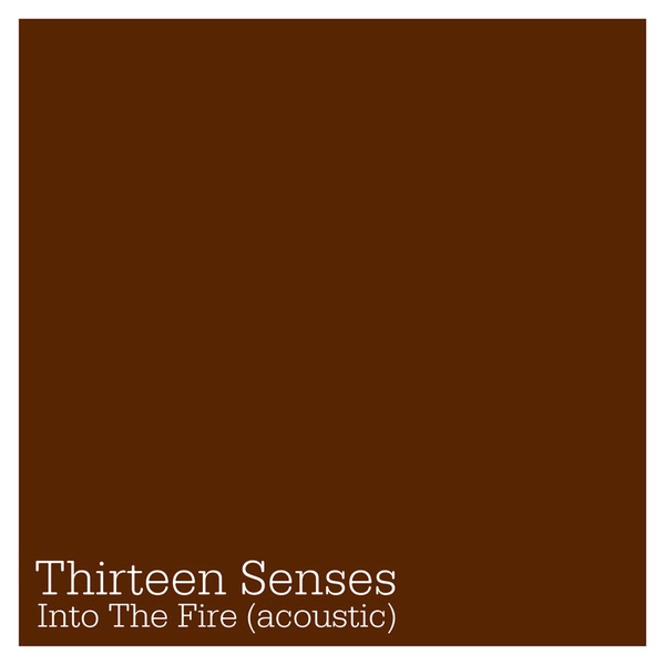 Into the Fire (Acoustic) - Single album cover