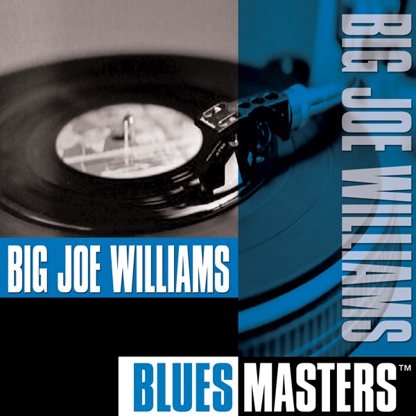 Blues Masters: Big Joe Williams album cover