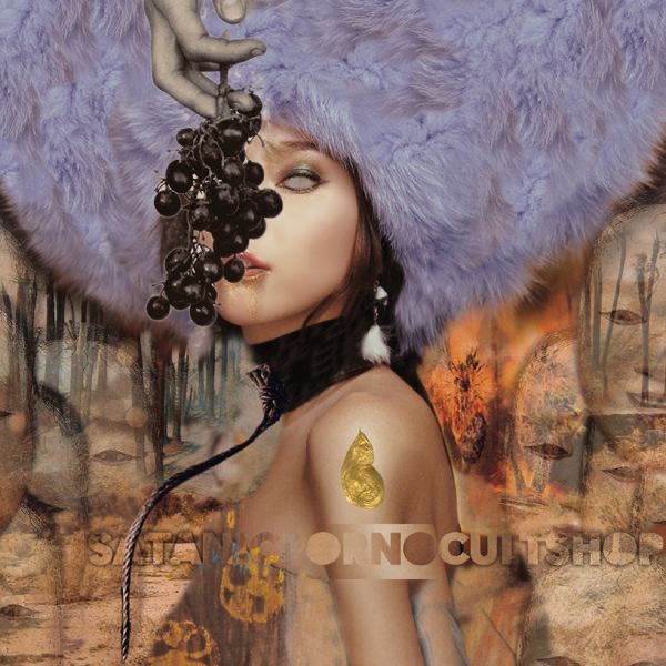 Zap Meemees album cover