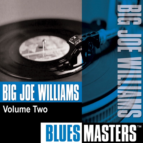 Blues Masters: Big Joe Williams, Vol. 2 album cover