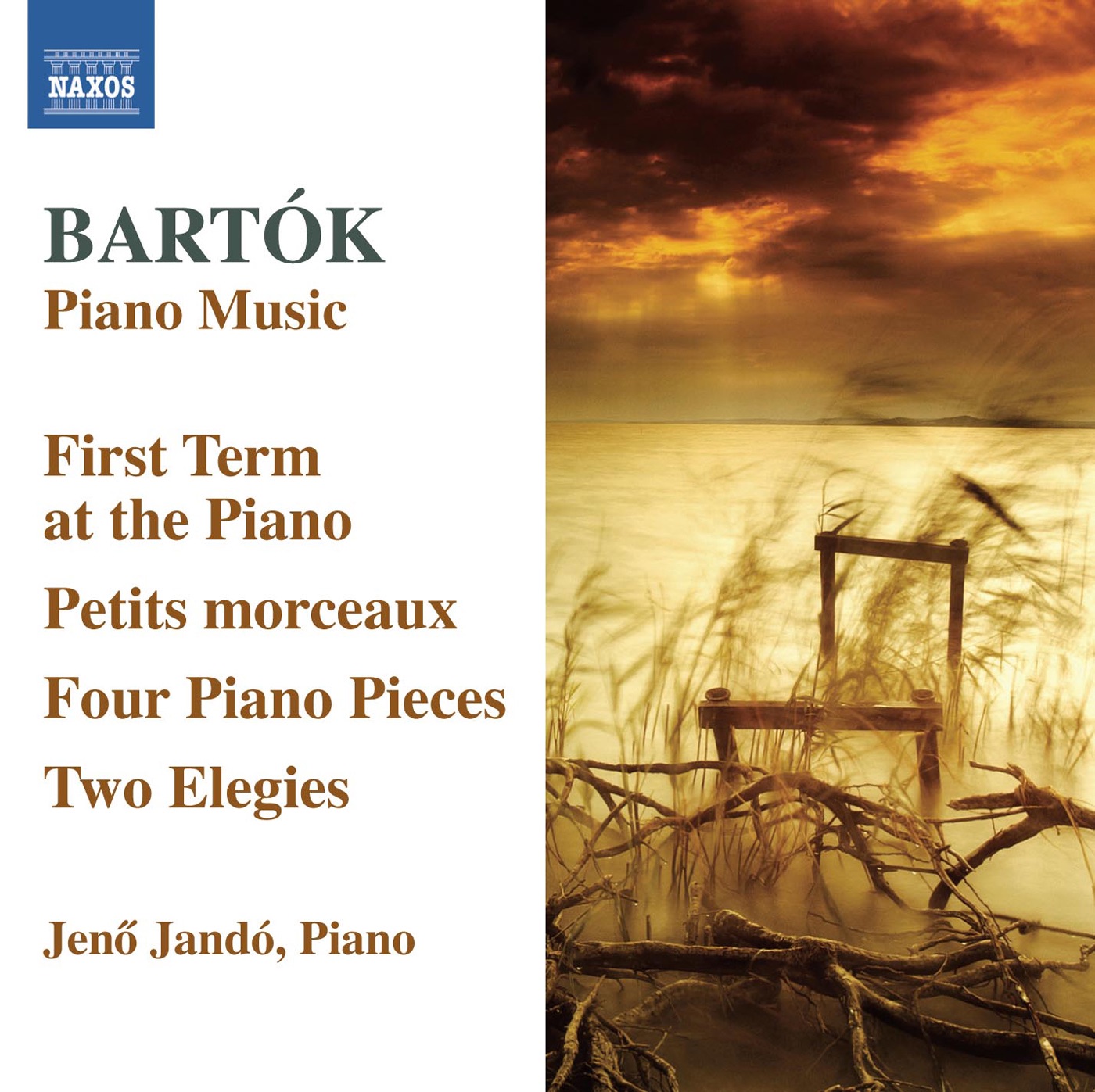 Bartok, B.: First Term At the Piano (The) - 4 Piano Pieces - Petits Morceaux - 2 Elegies album cover