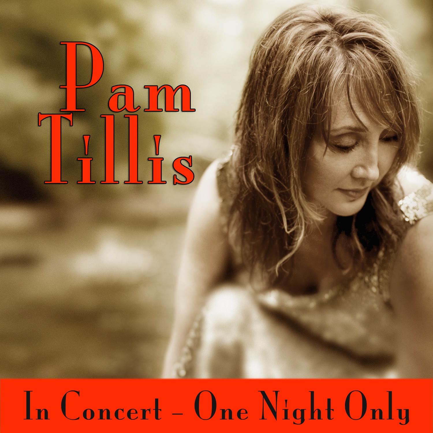 In Concert - One Night Only album cover