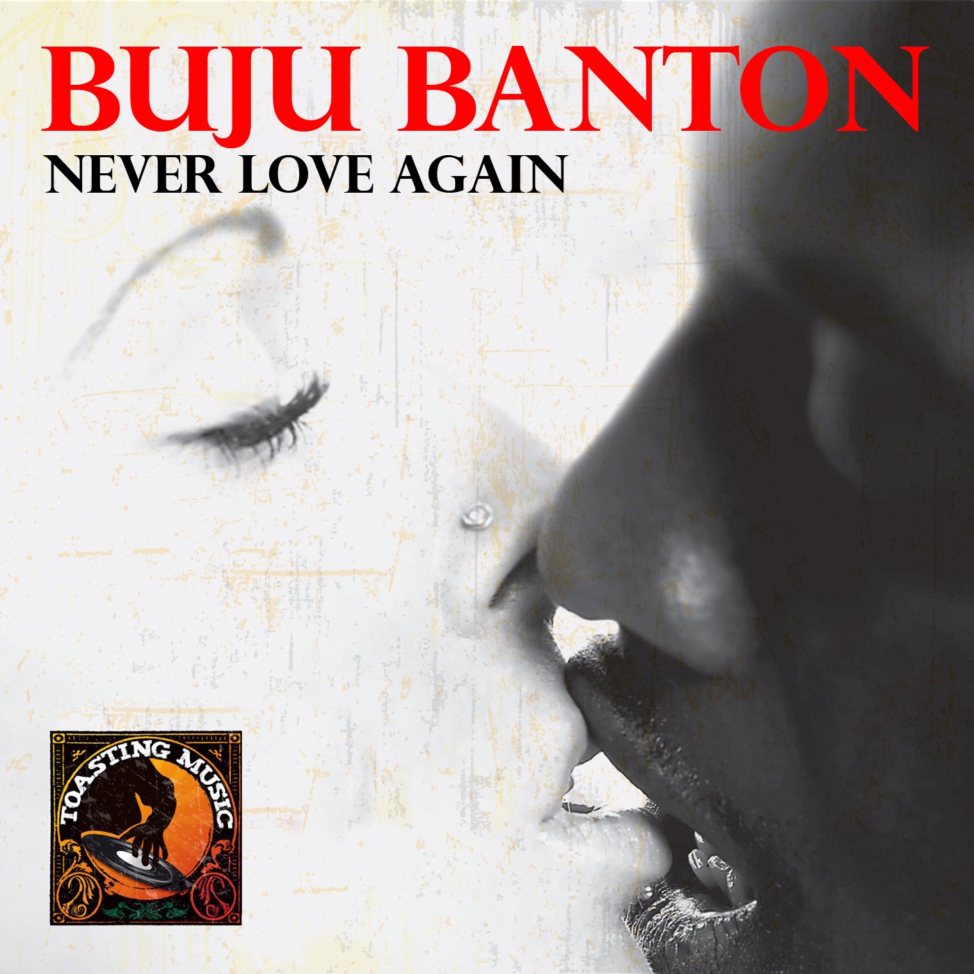 Never Love Again - Single album cover